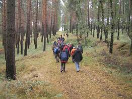 durch den Hochwald
