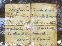 Ein guter Spruch passend zum klaren Wasser der Plane.