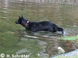 Ida auf der Suche nach dem Molch.