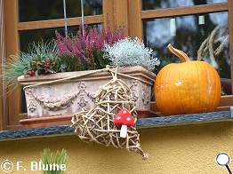 Mylauer Stillleben