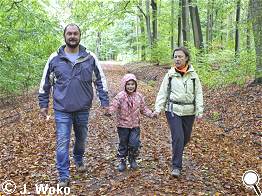 auf dem breiten Waldweg