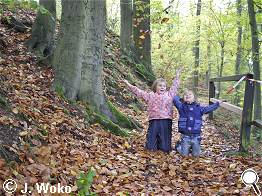 Herbstfreuden