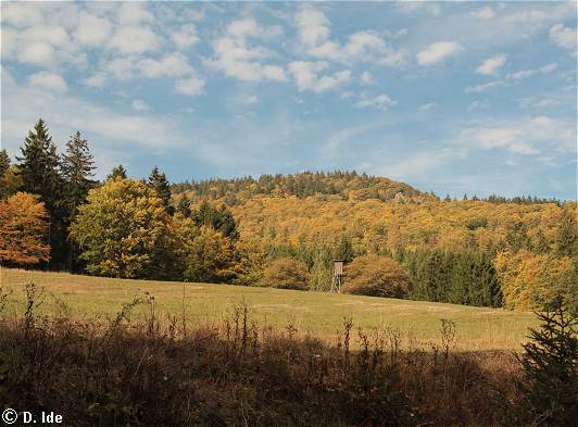 wunderschöne Herbstlandschaft