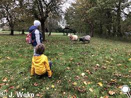 Tierbeobachtungen 1