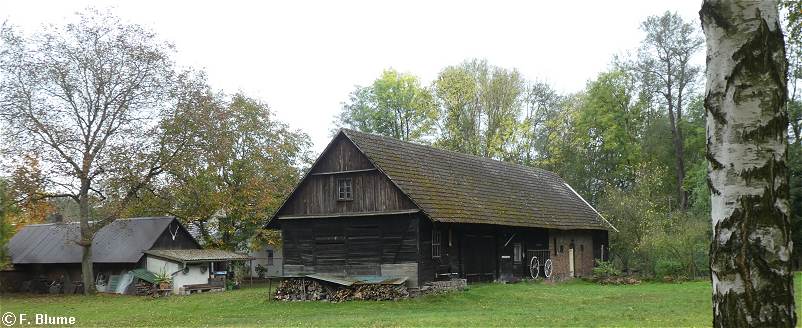 herbstliche Spreewaldlandschaft