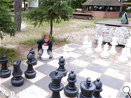 Linus beim kniglichen Spiel