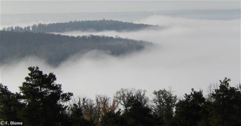 Panoramablick vom Aussichtsturm Mittelberg.
