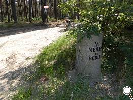 Am Meilenstein heit es, auf die Waldpiste abzubiegen ...
