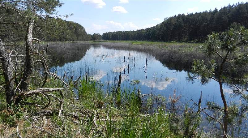 Blick ber einen namenlosen Teich im Miethsluch