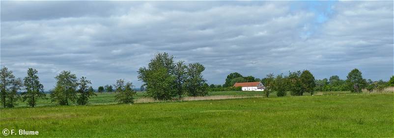 Blickpunkt in der weiten Oderbruchlandschaft