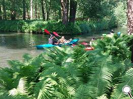 Paddler auf dem Leiper Graben S�d