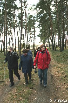 Waldwanderung