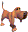 1005_caninev4_icon