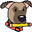 11791_westpointertag2_icon