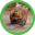 13270_isht_kint_tag_icon