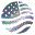 264_geocache_america_silver_icon