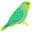 436_parrolet_icon