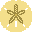 712_sanddol_gold_icon