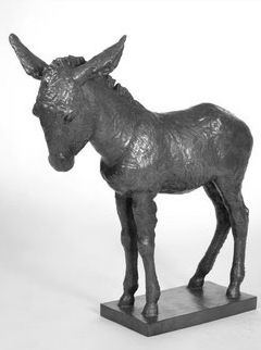 Esel von Seelow Esel von Seelow
