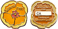 California Micro Geocoin