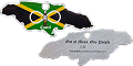 Costel Travel Tag