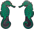 Dorkfish Seahorse Coin