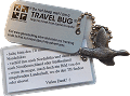 Travellers - Greylag Goose 