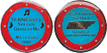 Tennessee Micro Geocoin
