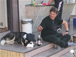 Akita lässt alles mit sich machen.
