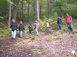 steiler Abstieg in das Ammerbach-Tal