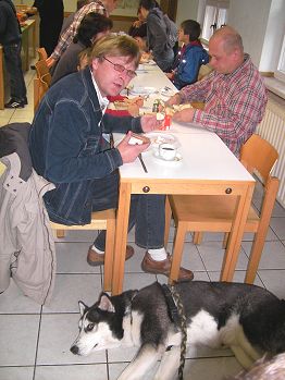 Akita ist schon satt - oder etwa noch müde?