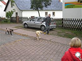 ungewöhnliches Trio