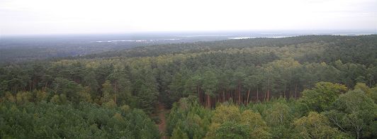 Panoramablick in Richtung Köthen