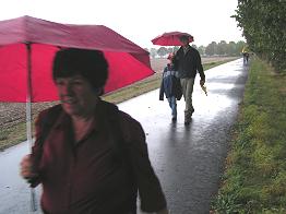 eine Baumreihe gibt zusätzlichen Regenschutz