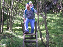bequem über einen Weidezaun