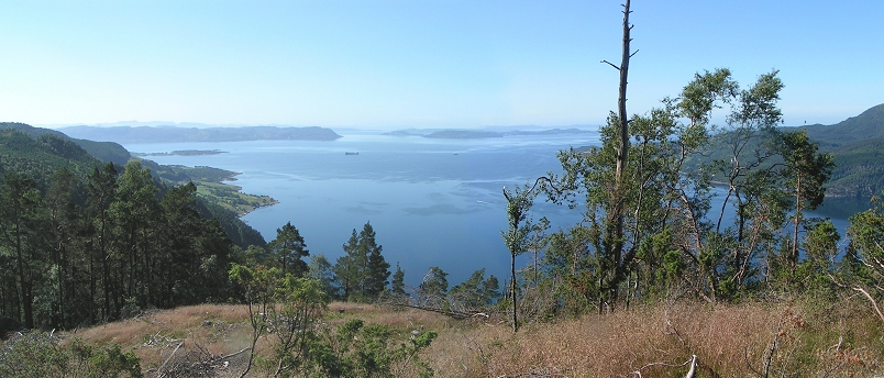 Panorama über den Zusammenfluss von Yrkjefjorden (Mitte) und Vindafjorden (rechts) in den Sandeidfjorden.