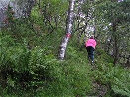 weiter steil bergauf zum 2. Rundblick