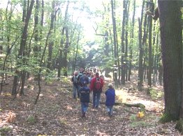 langgezogener Waldweg; Foto: Sandra