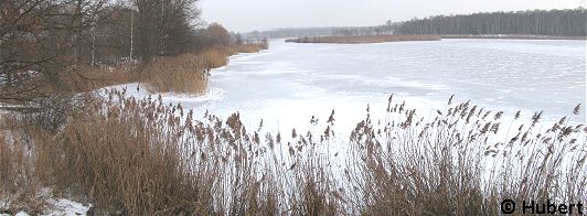 Seepanorama