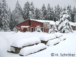 Irgendwo im Thüringer Wald (Aufnahme vom 31.01.2010)