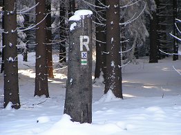 Am Rennsteig angekommen.