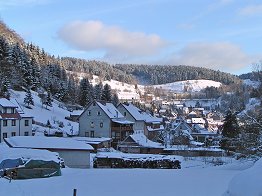 Blick über Fehrenbach