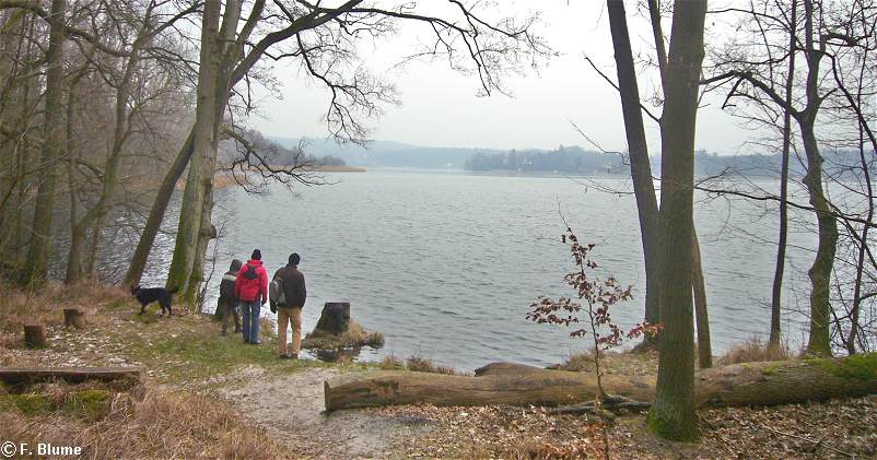 am Ufer des Schermtzelsees
