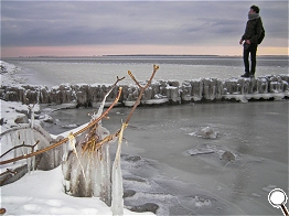 der junge Mann und der Bodden