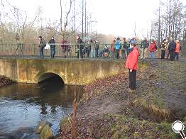 Brücke über die Löcknitz