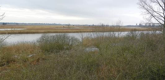 weiter Blick über die platte Elbaue