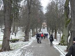 Allee zur Frstengruft